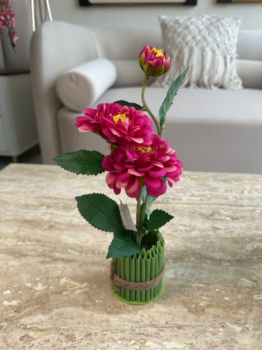 Dahlia Flower Standing Bunch Magenta