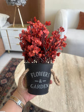 Eucalyptus planter Rust