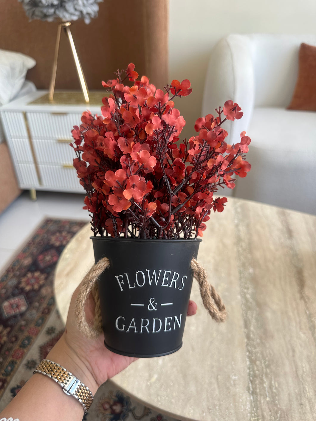 Eucalyptus planter Rust