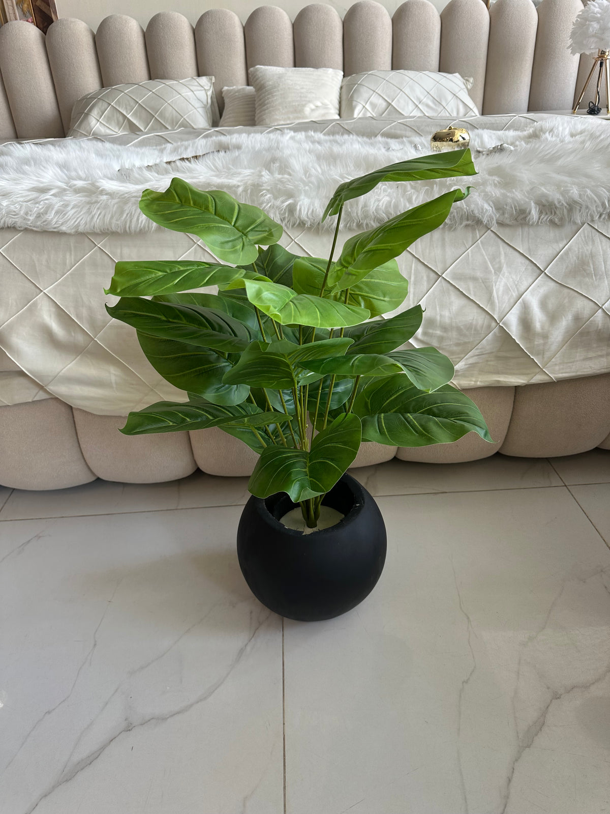 Round Pot  Plant (004)