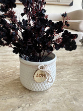 Black Eucalyptus with White Planter