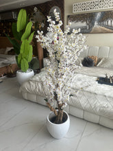 White Blossom Flower Plant with textured Planter