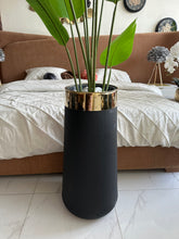 Banana plant and Large Black planter