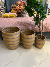 Cane Planter (3 sizes)