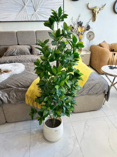 Faux Bay Laurel Tree
