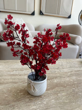 Red Eucalyptus with White planter