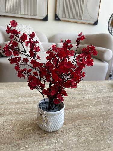 Red Eucalyptus with White planter