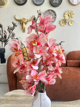 Orchid Flower 05