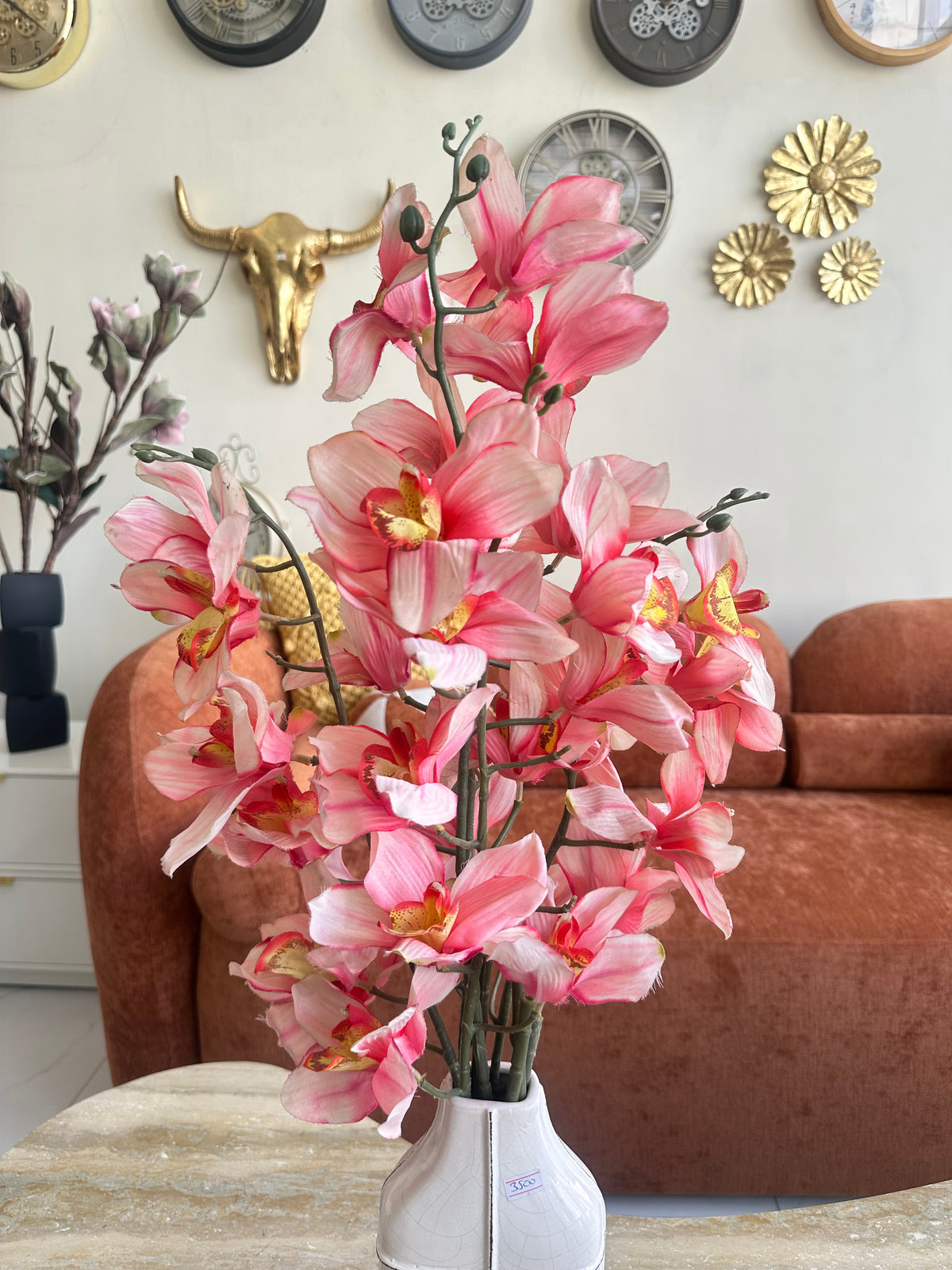Orchid Flower 05