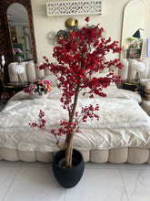 Faux Eucalyptus Maroon flower Plant (medium) with Hugo planter Black