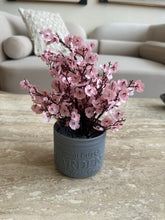 Pink Eucalyptus with Grey Planter