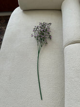 Baby Breath Purple 04