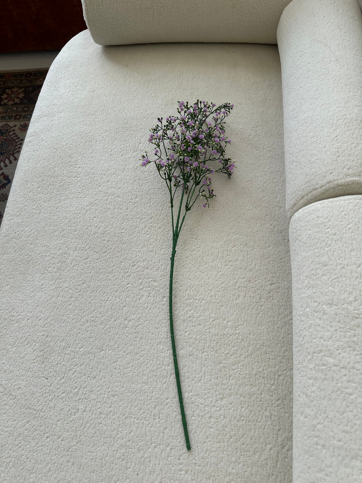 Baby Breath Purple 04