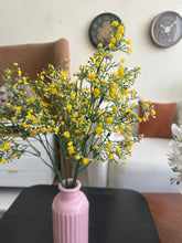 Baby Breath Yellow 05