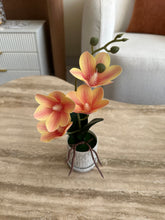 Orchid Planter Orange 014