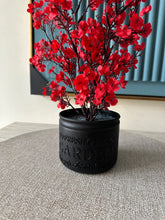 Red Eucalyptus with Black Planter
