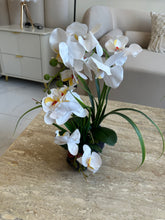 White orchids flower arrangement