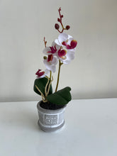 Orchid Planter 006