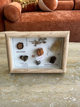 Dried Flower Frame 002