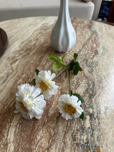 White Silk Dahlia Flower Stem