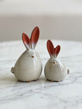 Cute bunny decor set of 2