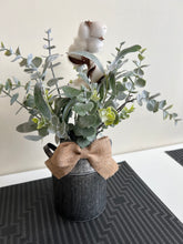 Cotton plant with pot