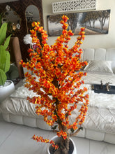 Orange Blossom Flower Plant with textured Planter