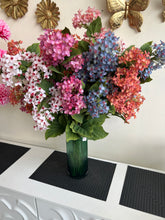 Hydrangea Flower Stems 02