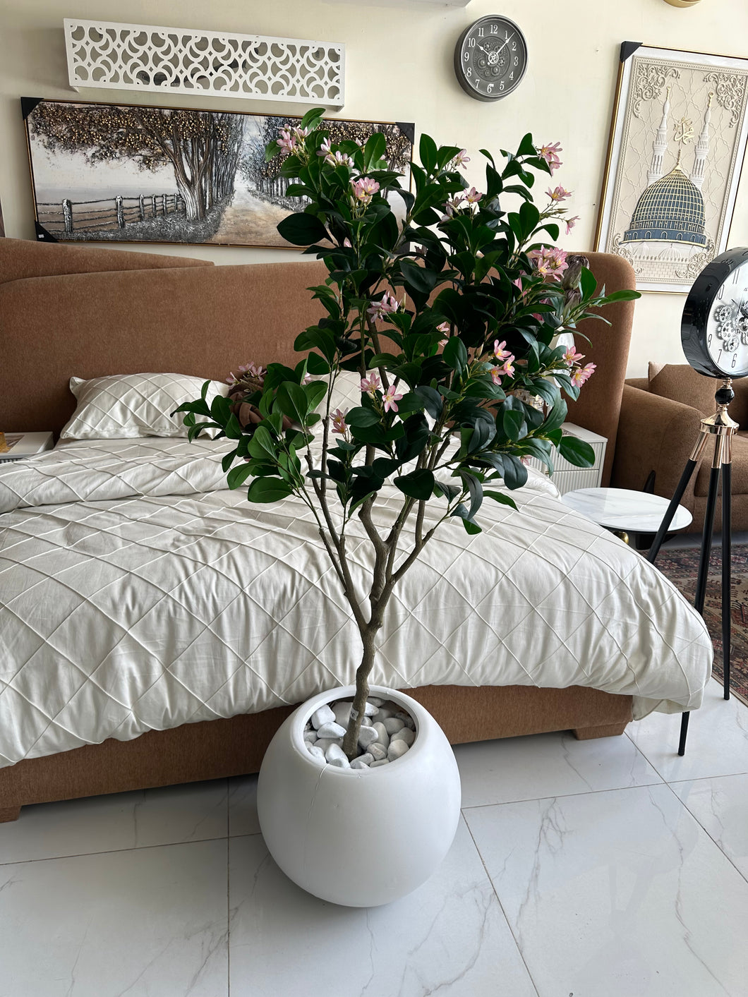 Jasmine Plant pink flowers with Planter