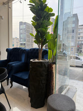 Artifical plants and planter 27