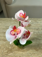 Orchid Standing Bunch medium 003