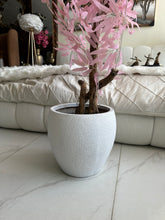 Pink leaf Plant with textured Planter