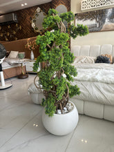 Bonsai Plant with White Round Pot