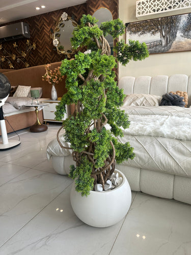 Bonsai Plant with White Round Pot