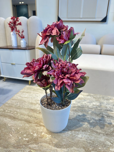 Pink Peony Flower in Ribbed Pot