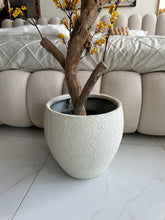 Faux Eucalyptus Yellow flower Plant (medium) with Hugo planter White