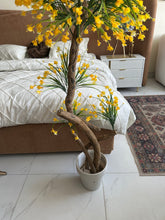 Yellow Flower Plant