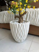 Yellow flower Plant with Imported Planter