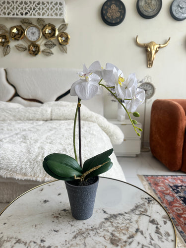 Orchid Planter 013