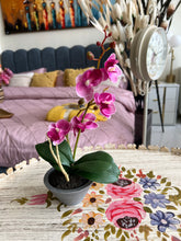Orchid Planter Pink 004