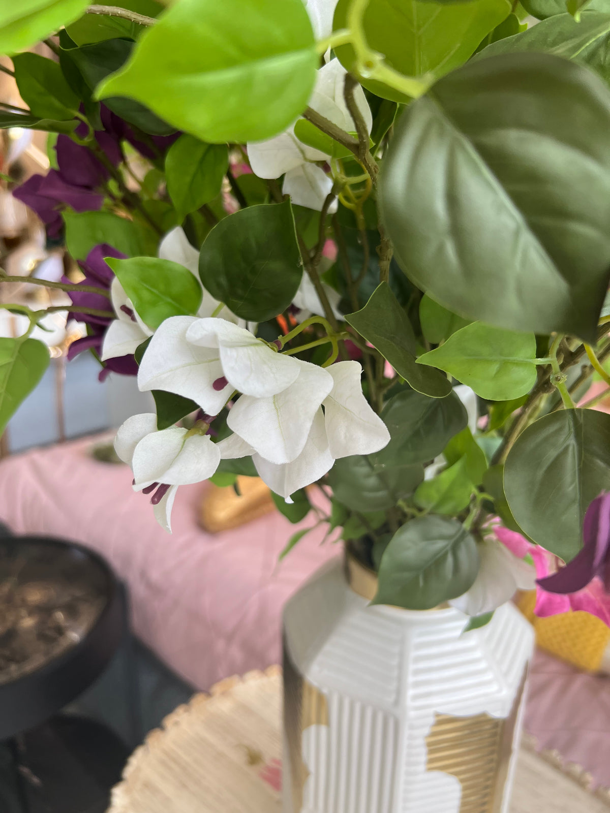 Bougainvillea Flower Stem