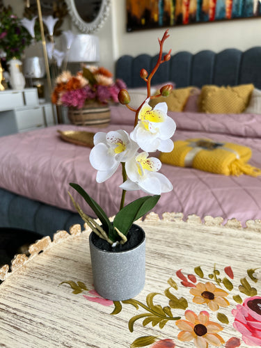Orchid Planter White 001