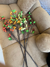 Berries Stem