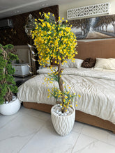 Yellow flower Plant with Imported Planter