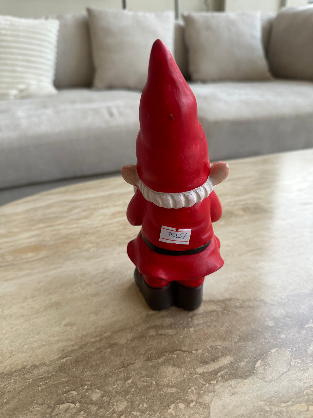 Garden Gnome 005