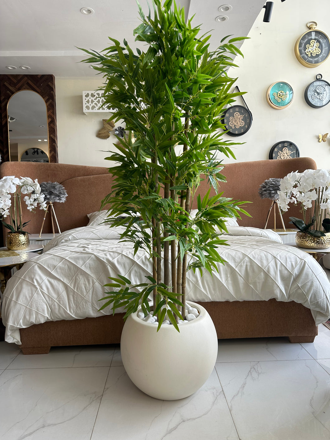 Bambo plant in White Round Pot