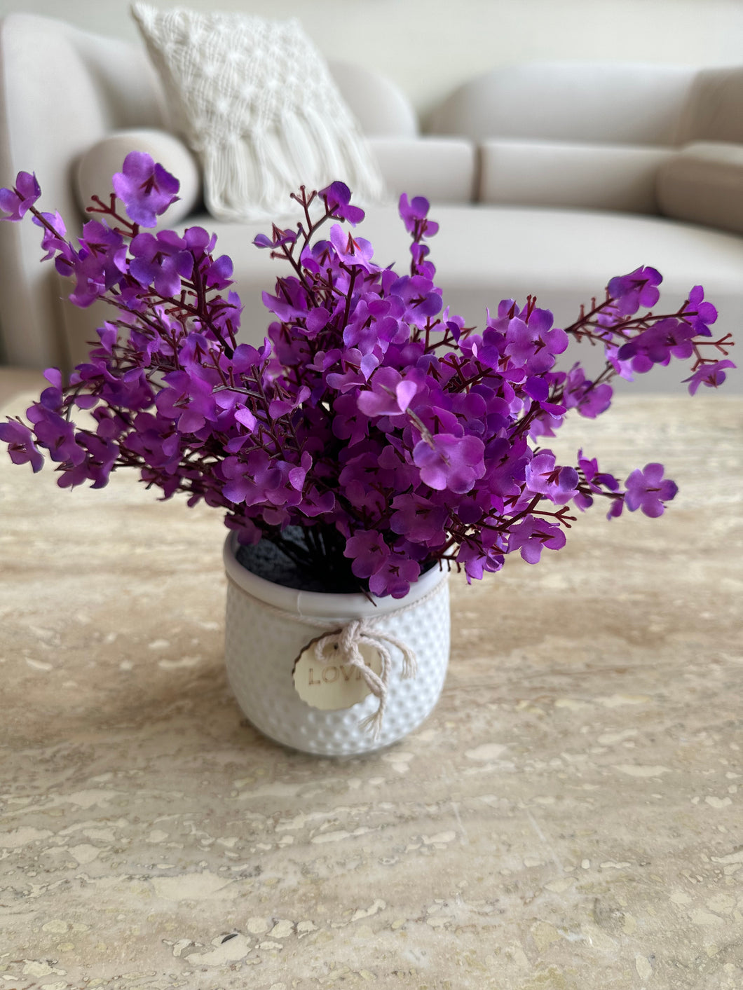 Purple Eucalyptus with White Planter
