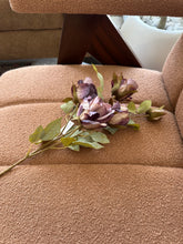 Purple Roses Stem