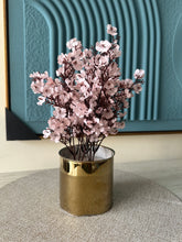 Pink Eucalyptus with Gold Planter