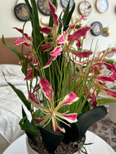 Gloriosa Lilies Planter